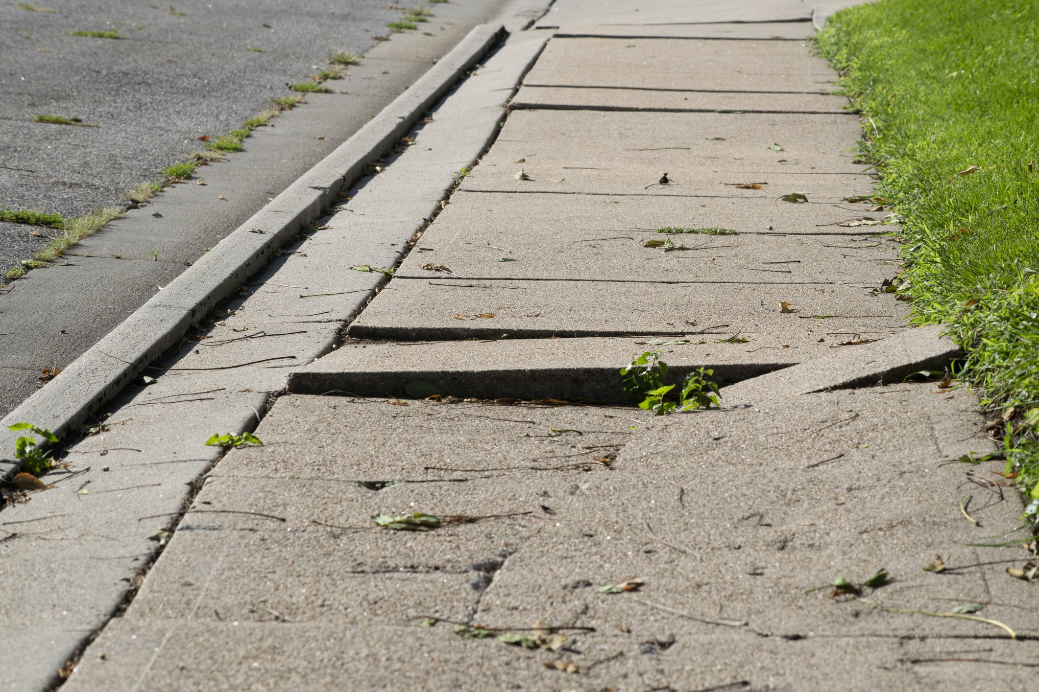 Sidewalk Repair